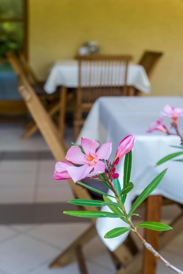 Bed and Breakfast Regia Panzio Halászi Exterior foto